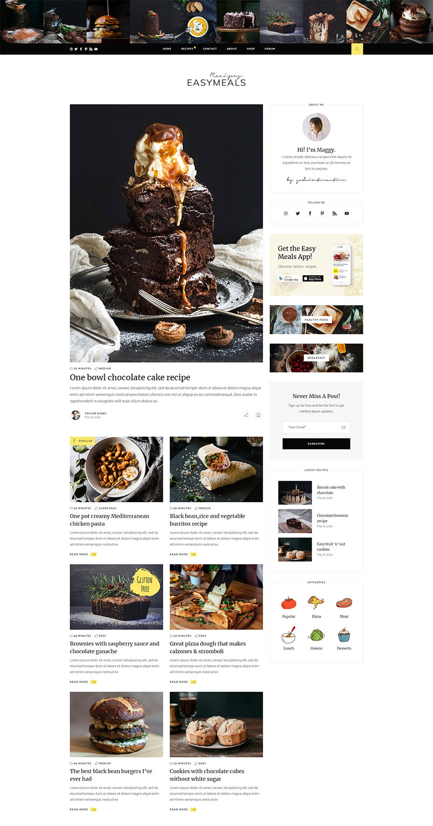 EasyMeals - Food Blog WordPress Theme