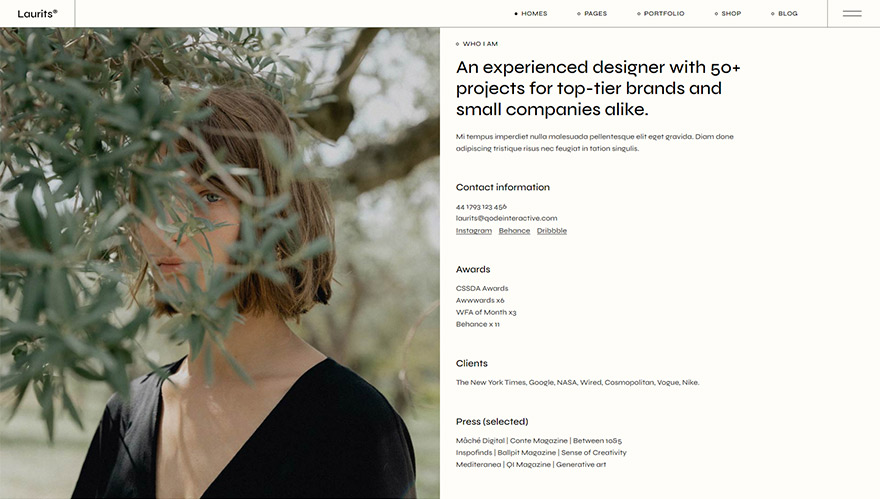 Laurits - Portfolio and Agency Theme