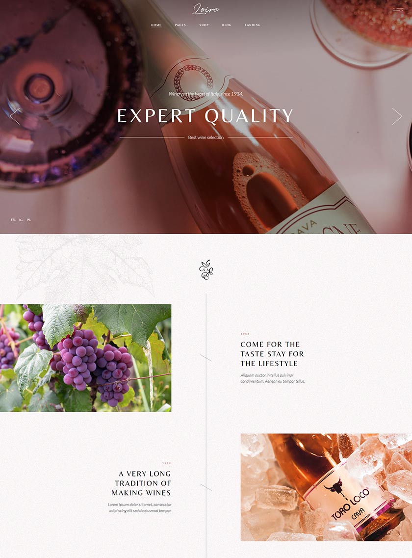 Loire - Winery and Wine Store Theme