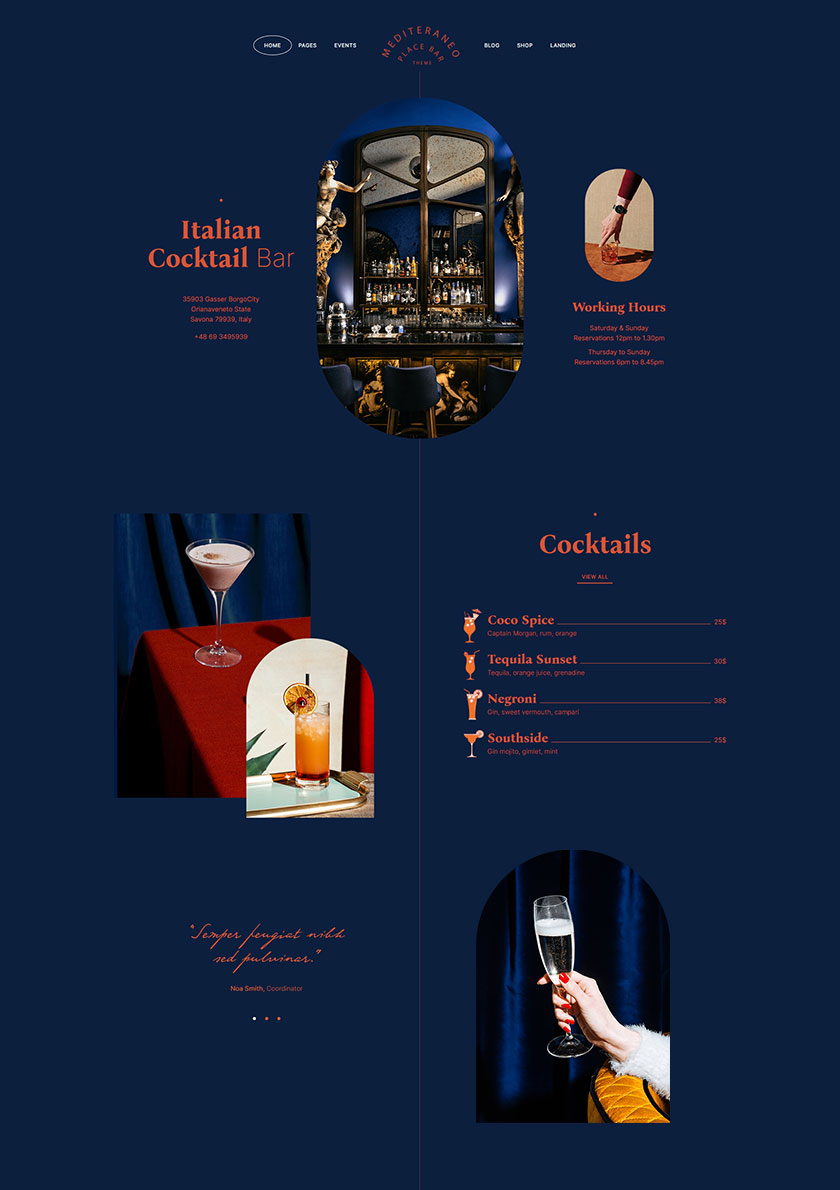 Mediteraneo - Restaurant, Bar & Drink Brand Theme