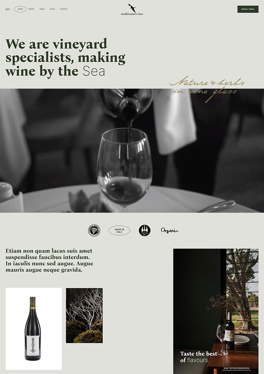 Mediteraneo - Restaurant, Bar & Drink Brand Theme