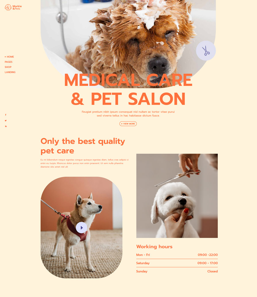 Morkie - Pet Shop and Pet Care Theme