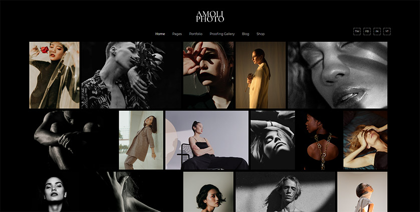 Amoli - Fashion Photography Theme