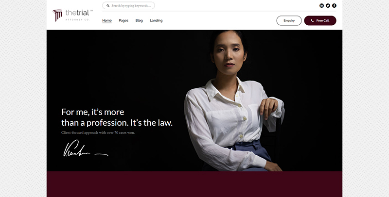 The Trial - Law WordPress Theme